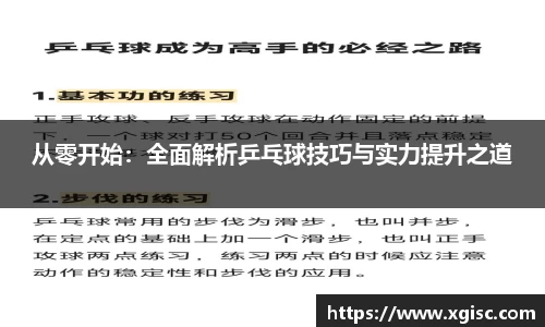 从零开始：全面解析乒乓球技巧与实力提升之道