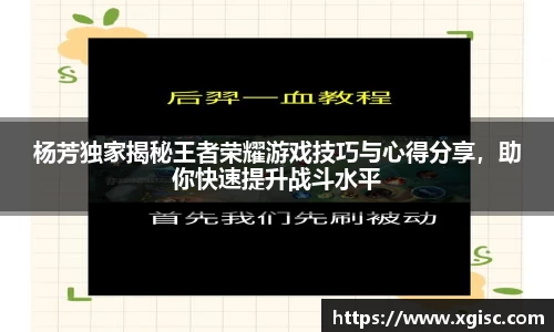杨芳独家揭秘王者荣耀游戏技巧与心得分享，助你快速提升战斗水平